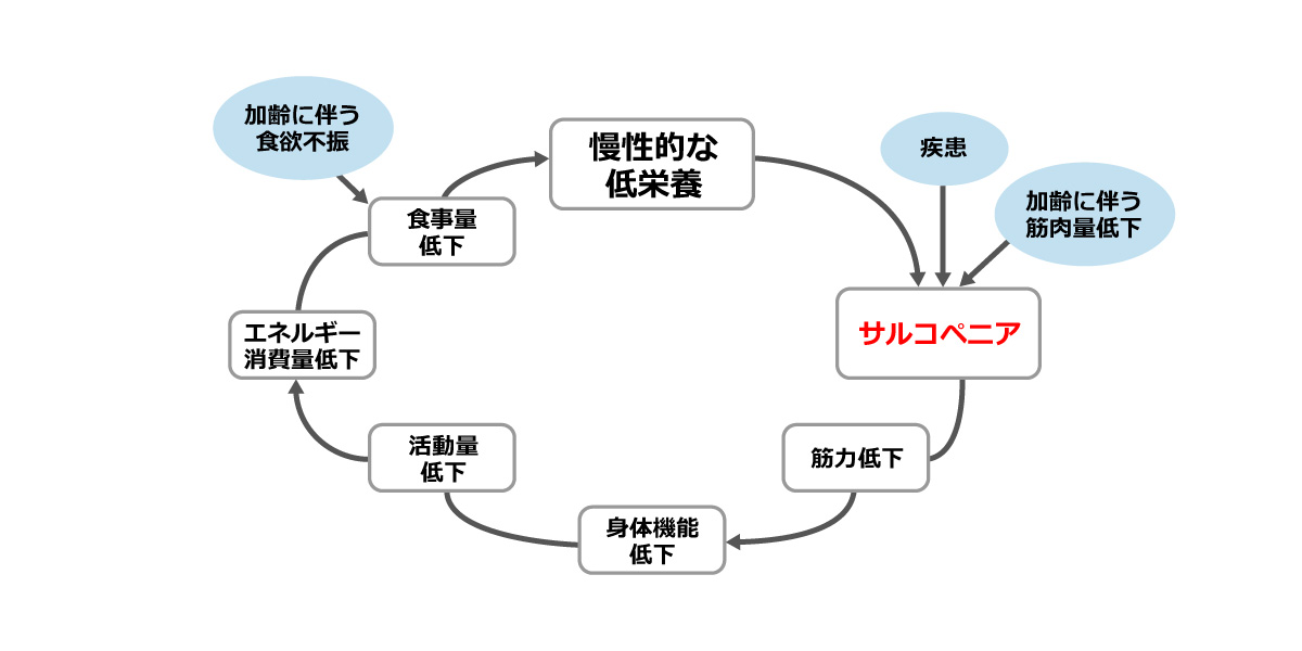 フレイルサイクル