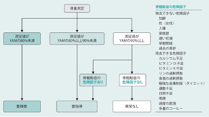 骨粗鬆症の危険因子について